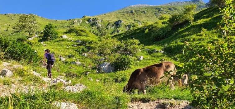Triglav National Park